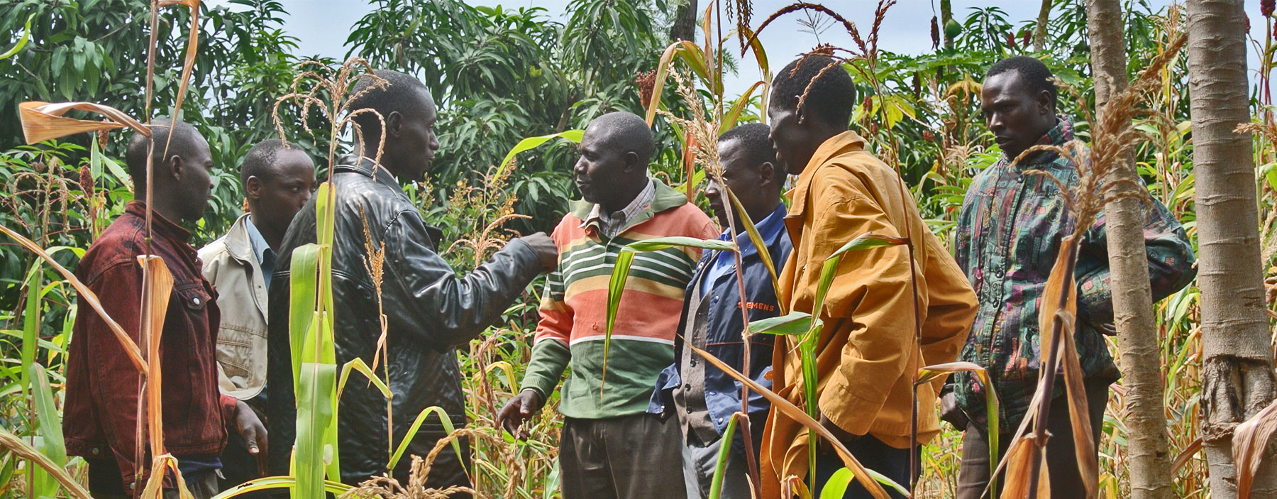 
Cultivating a brighter future.
Our innovative grantees are tackling challenges related to poverty, health, and the environment around the world. read more
